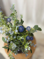 Blue Fields Bush 19”