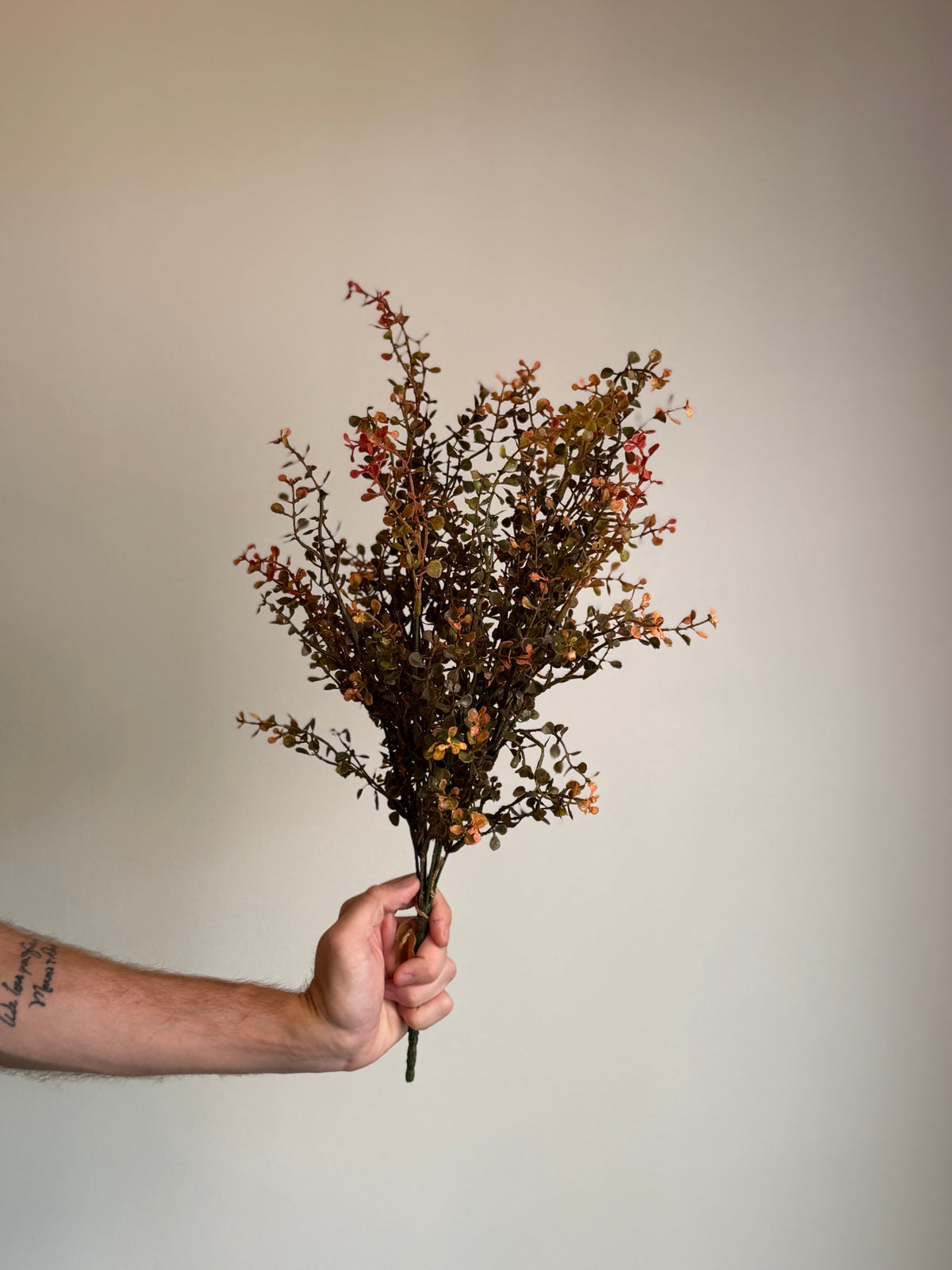Red Peppergrass Bush 21”