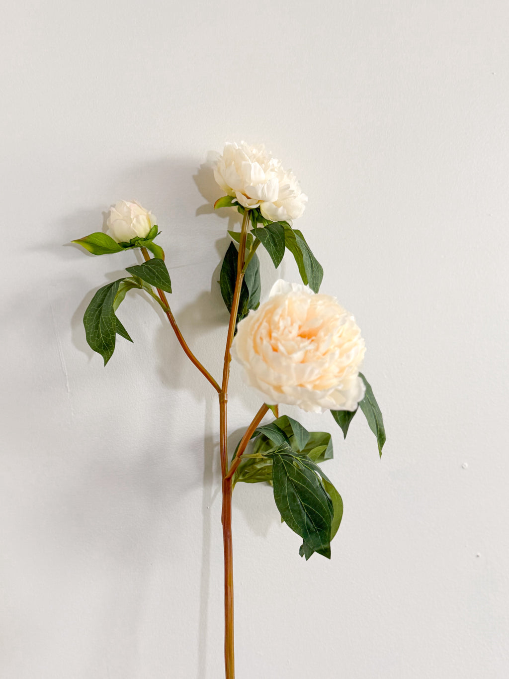 30” Faux Cream Peony Spray