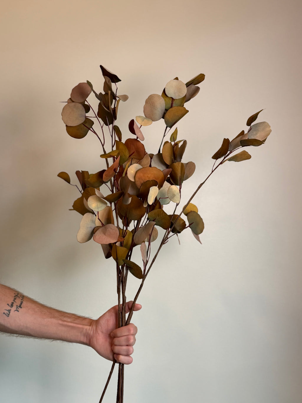 Eucalyptus Stem, Autumn Multi