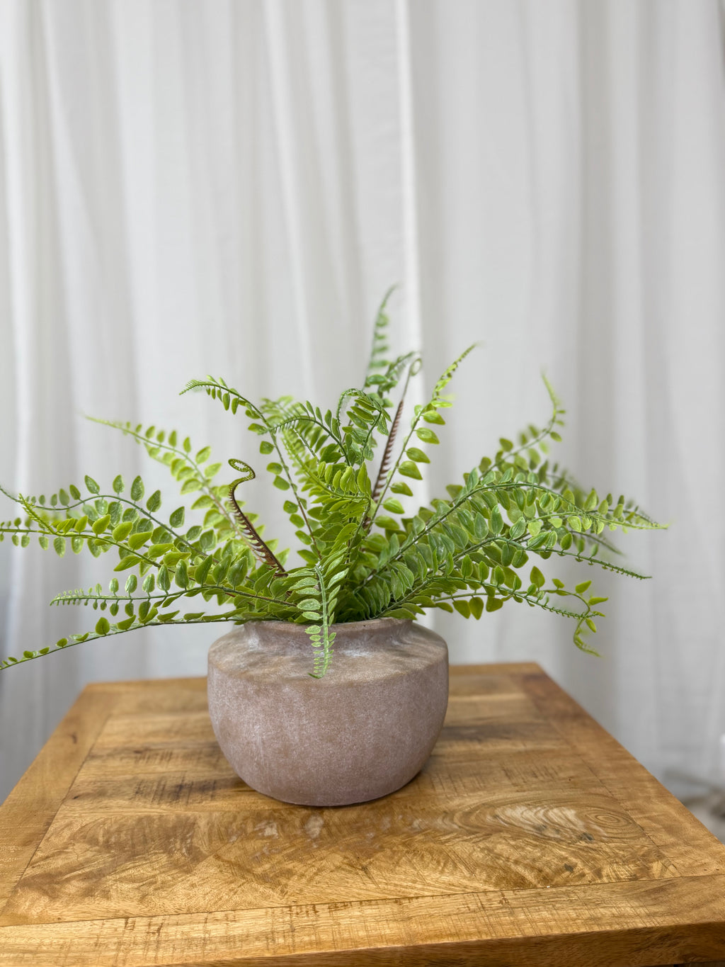 Seed Shape Fern Pick