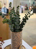Eucalyptus Spray
