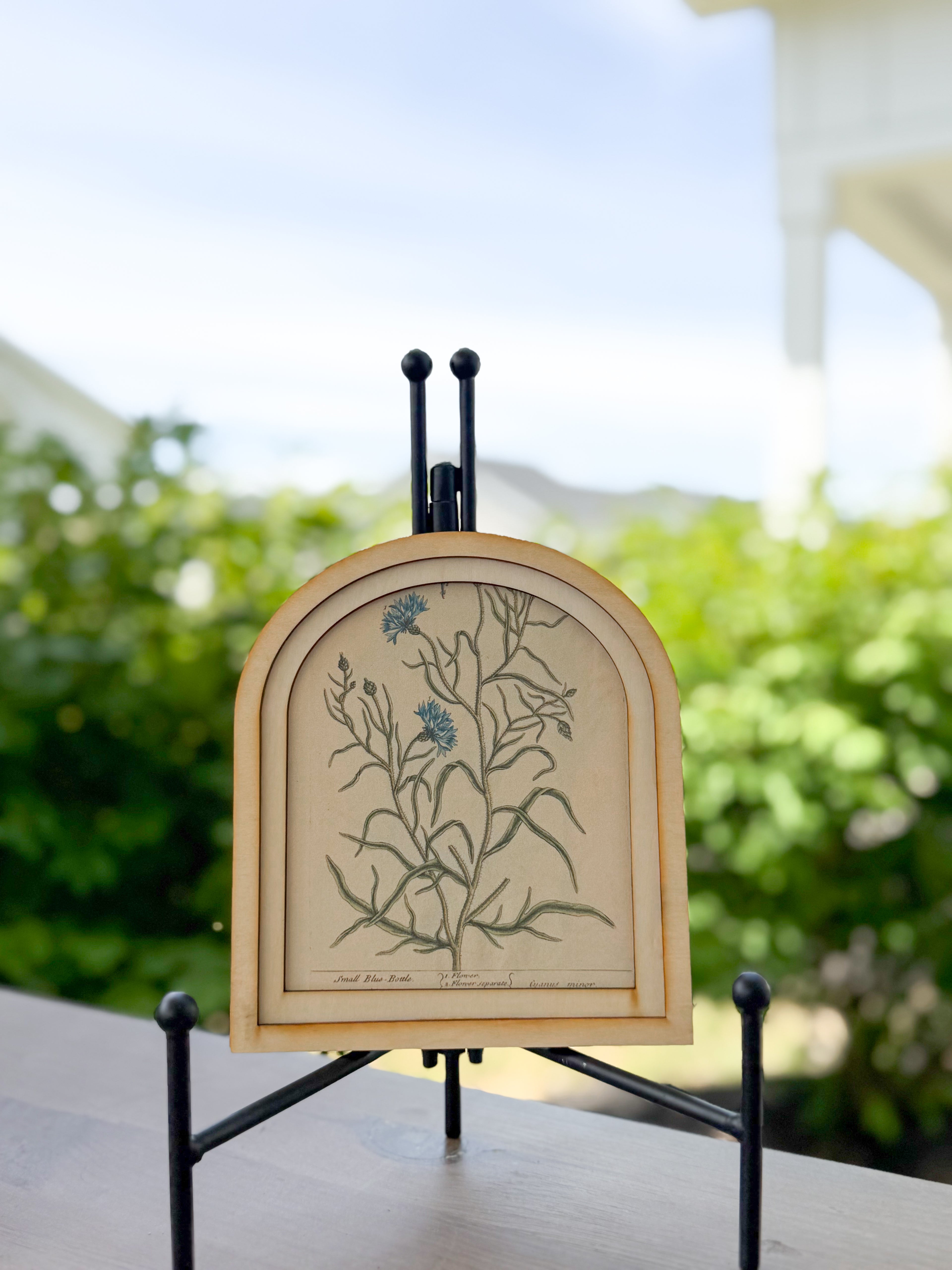 Vintage Arch Framed Art, Bluebell Study | Cottage Wall Decor | European-Inspired Mini Wood Frame | 6.5” Decorative Accent