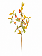 Crab Apple Branch 30”
