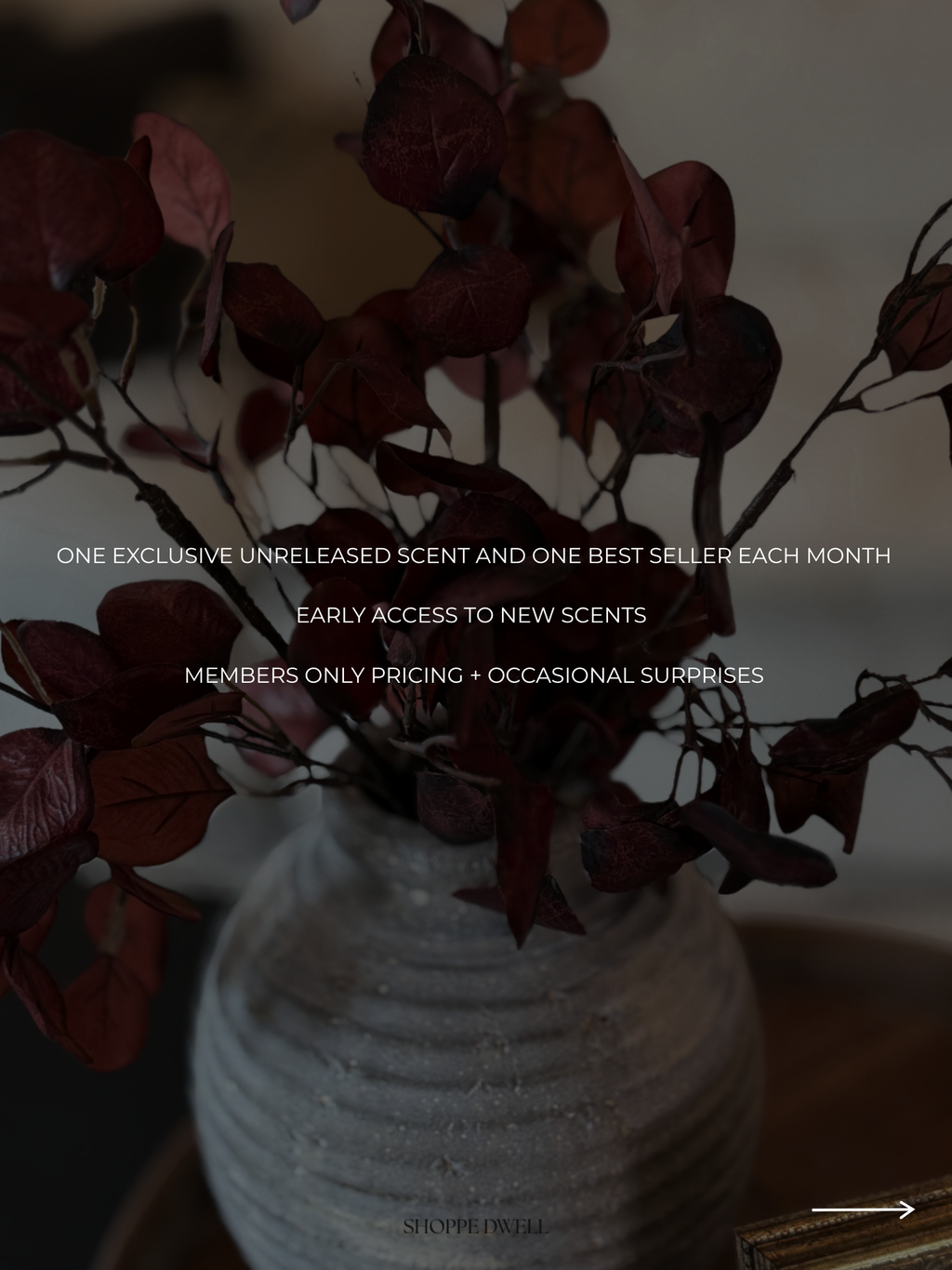 Monthly Candle Subscription