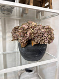 Faux Dried Hydrangea Stem