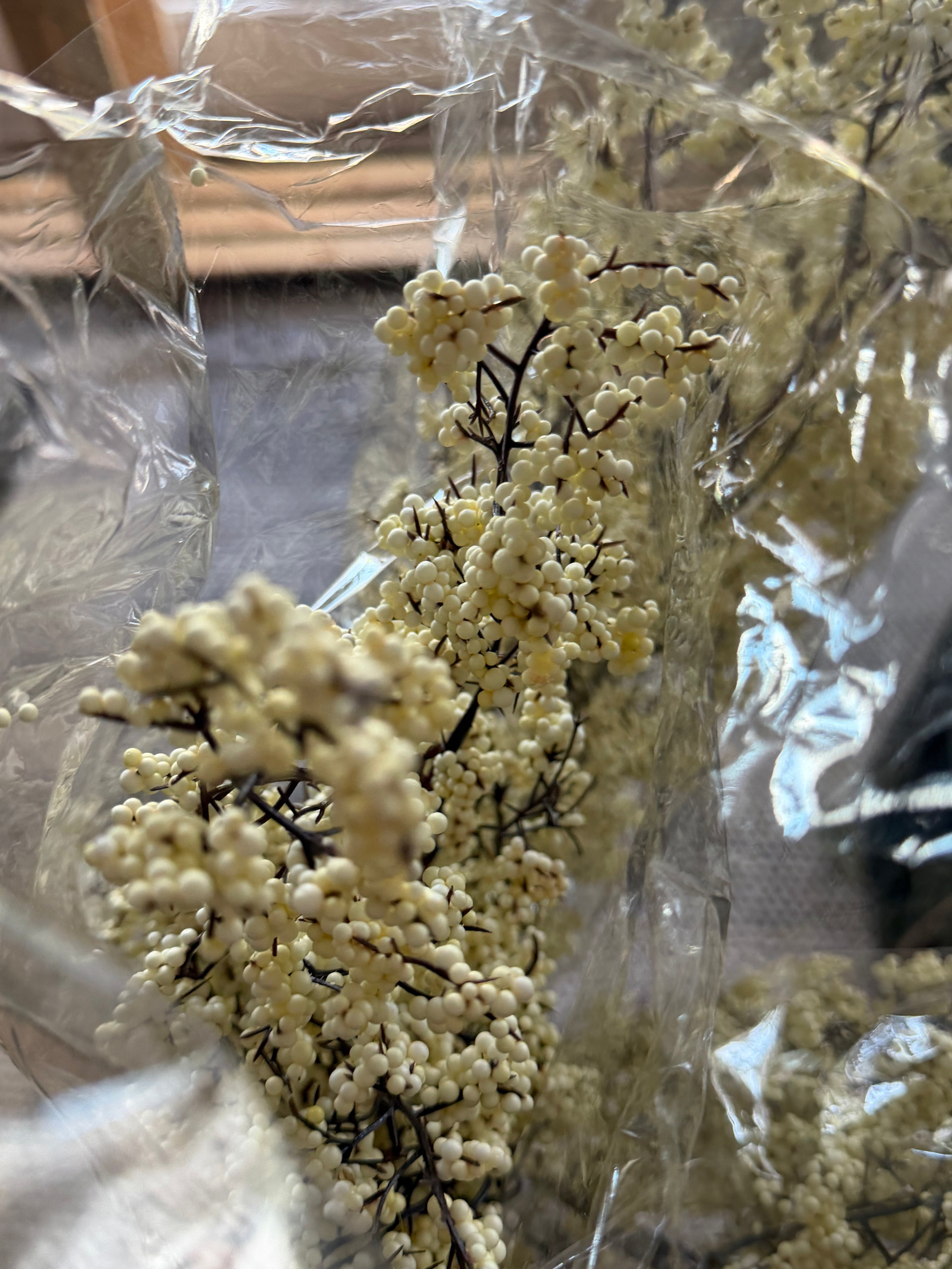 Whiteberry Cluster Branch 36”