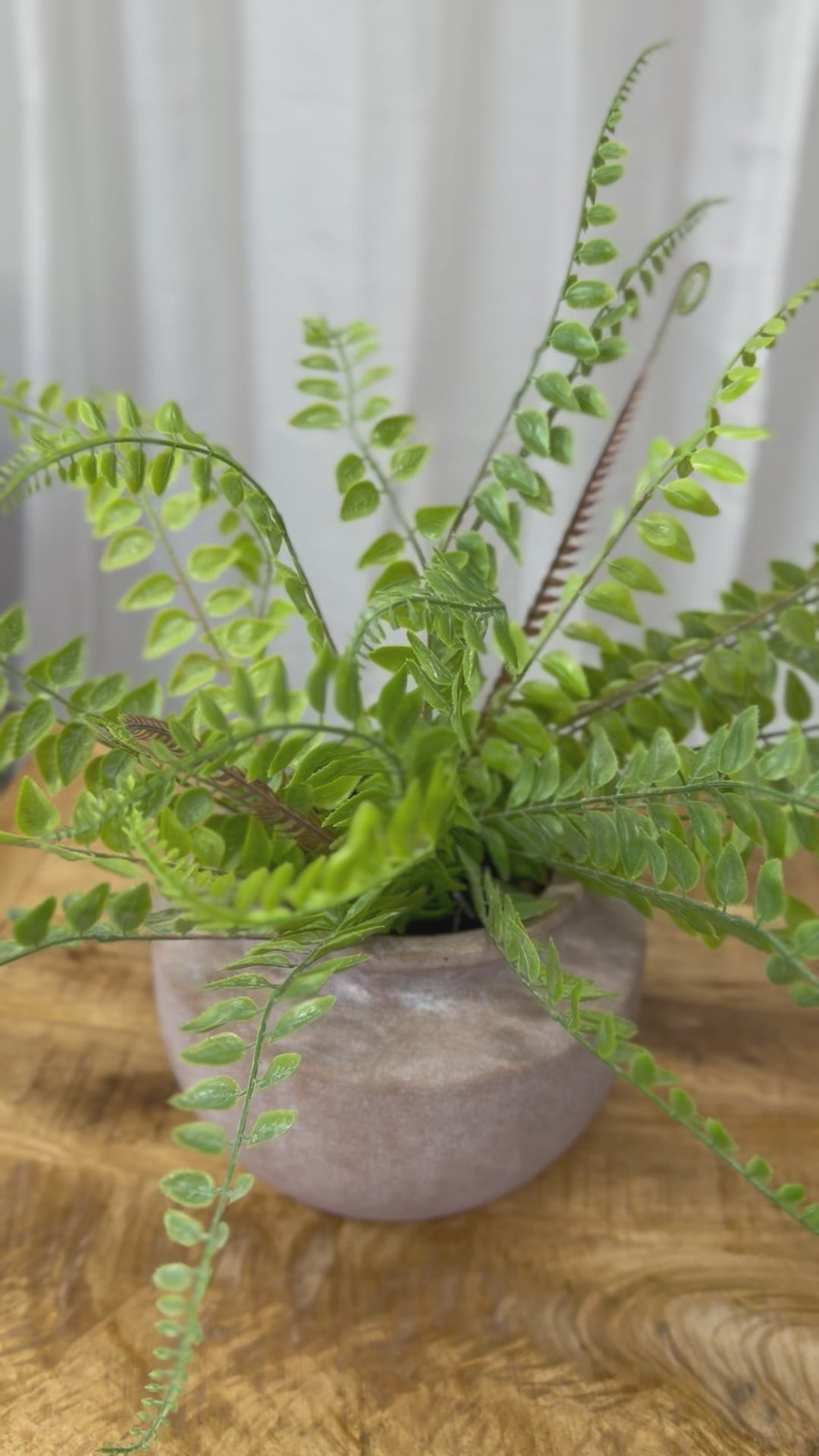Seed Shape Fern Pick